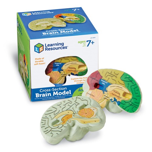 Learning resources cross - learning,