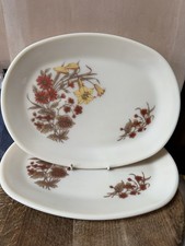 2 Pyrex Harvest Spray Oval