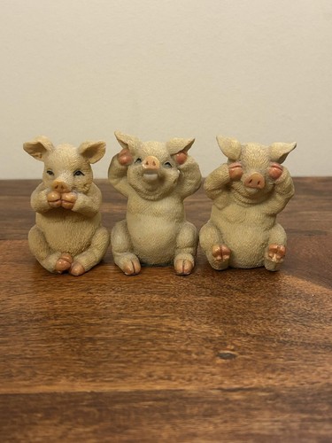 See evil pig collectable - see,