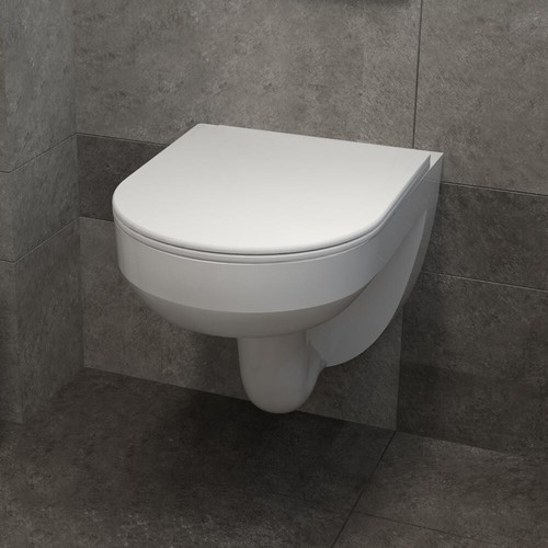 Bathroom rimless vortex - bathroom, flush