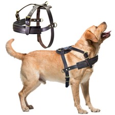 Genuine Leather Dog Harness for Large Dogs Bike Sled Weight Pulling Harness XXL