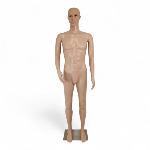 185cm male mannequin - male, full