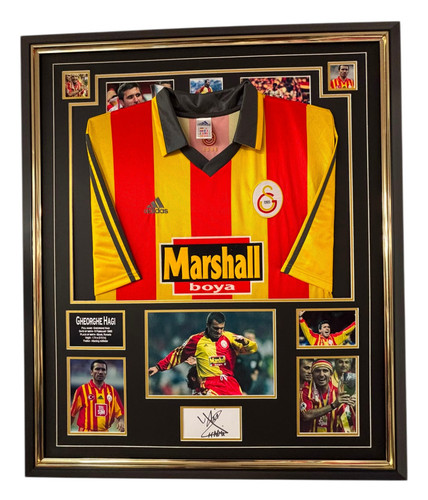 Framed gheorghe hagi - framed,