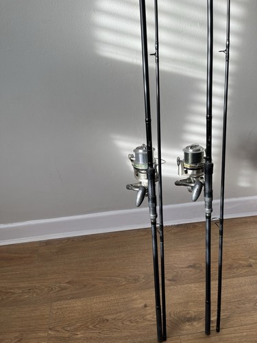 Carp fishing rod and - fishing, set