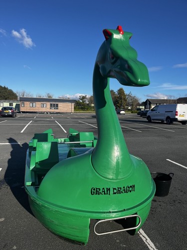Pre loved leisure green - green, dragon