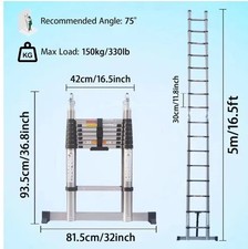 5M Stainless Steel Ladder