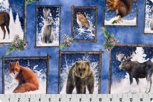 Wildlife fox bear moose deer - wildlife,