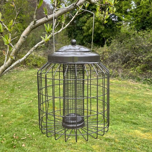 Squirrel proof hanging bird - squirrel,