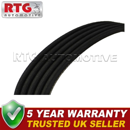 Ribbed drive belt - v,