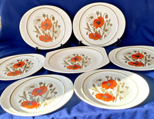 J & G Meakin Poppy Steak