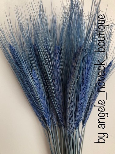 Pcs dried flowers - dried, wheat/rye