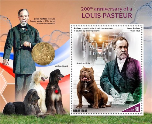 Louis pasteur dogs american - louis,