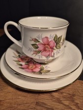 Paragon 'Prairie Rose' Bone