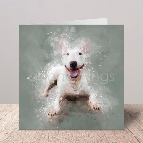 English bull terrier - english, |