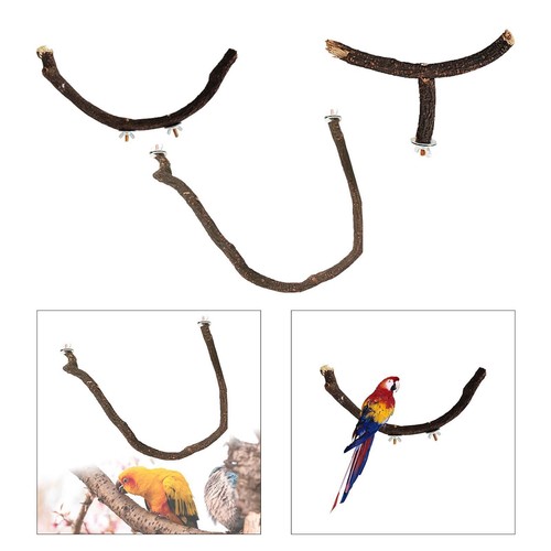 Bird perch stand - stand, pole