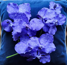 Artificial Dark Purple Vanda