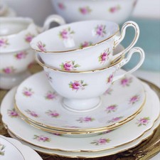 Antique Foley Wileman tea set