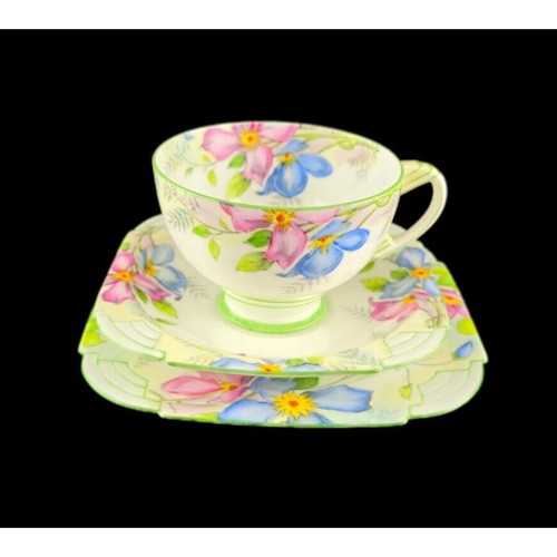 Paragon clematis tea - paragon,