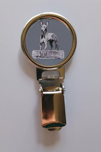 Pharaoh hound dog - show, ring