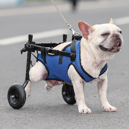 Small dog wheelchair - small,