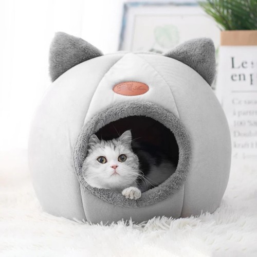 Cozy cat bed - bed, pet