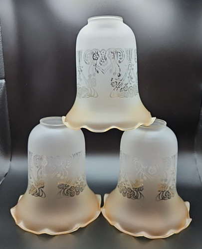 Frosted floral etched - frosted,