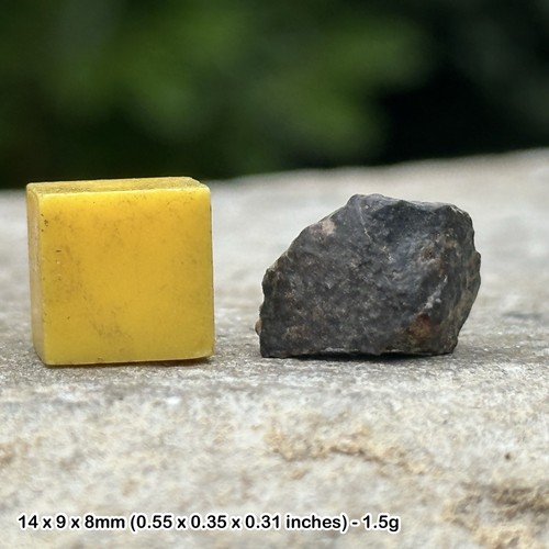Nwa 869 meteorite - meteorite, chondrite
