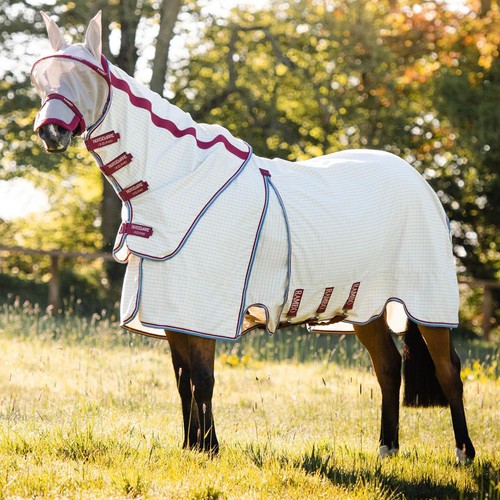 Rambo horse optimo supreme - rambo,
