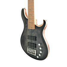 An Exquisite 5th String Bass