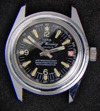 Tara Diver Black Dial