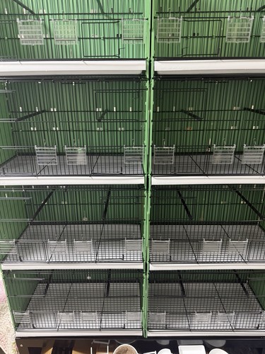 Bird breeding cages - breeding,