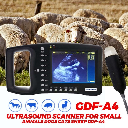 Gdf portable veterinary - gdf-a4,