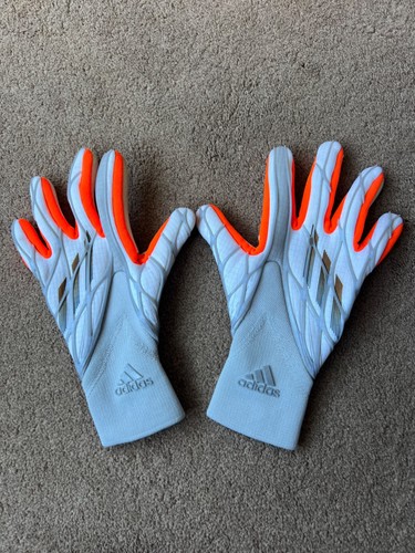 Adidas professional goalkeeper