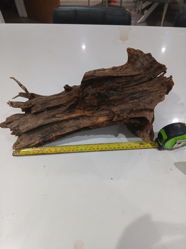 Driftwood root branch - ,