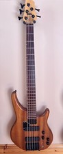 Status Energy graphite 5 String  bass