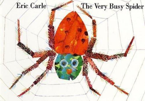 Very busy spider - spider, by