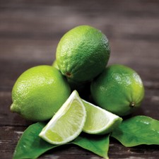 Lime plant fruit half - fruit, half-hardy