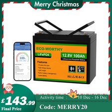 ECO-WORTHY 12V 100AH LiFePO4