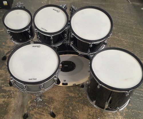 Pearl export 2025 electronic - export,