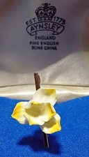 Vintage Aynsley Bone China