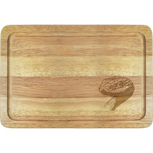 Snake portrait wooden boards - 'snake,