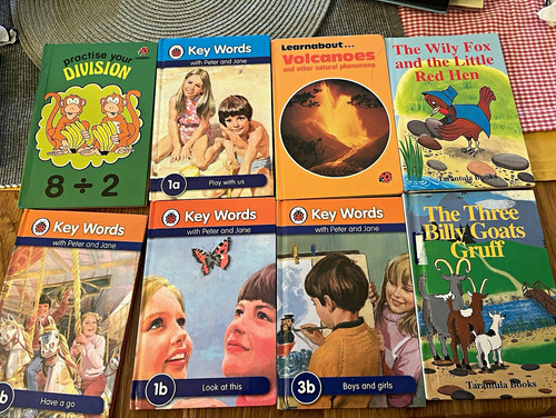 Tarantula books key words - tarantula,