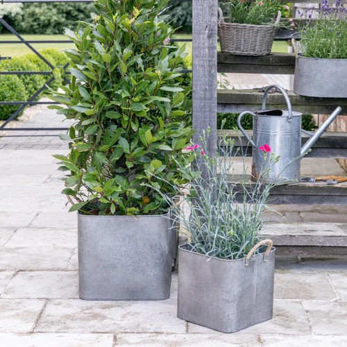 Galvanised steel plant pots - galvanised,