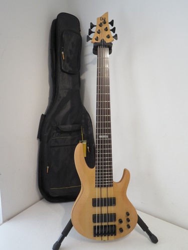 2009 esp ltd - deluxe, 6