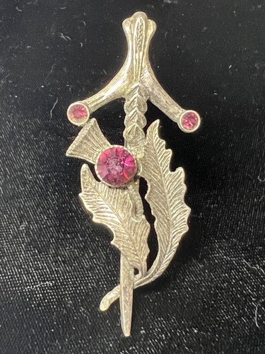 Vintage scottish thistle - vintage,