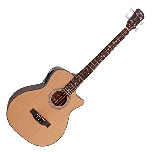 Electro acoustic bass guitar - electro,