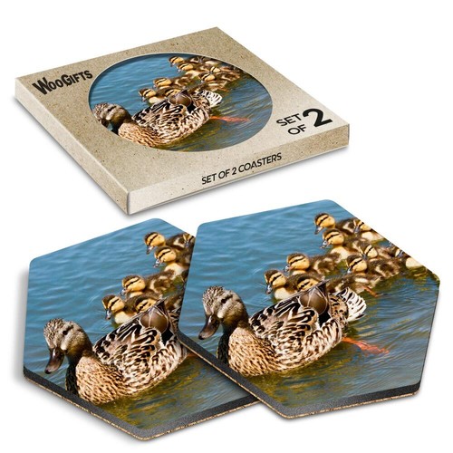 Hexagon mdf coaster mallard - hexagon,