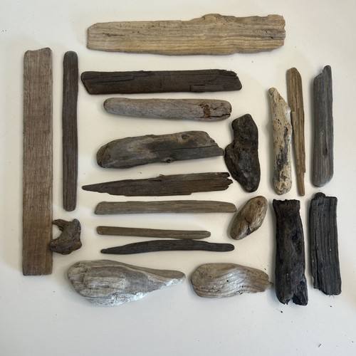 Driftwood mixed pieces - 20,