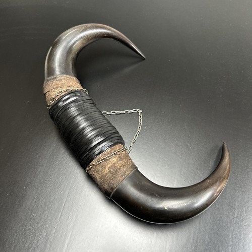 Brown bull cow horns wall - brown,