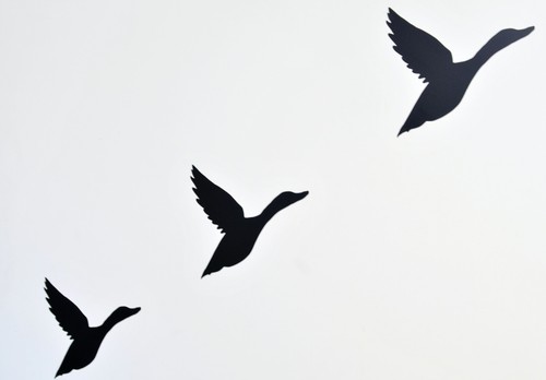 Retro flying duck vinyl wall - flying,